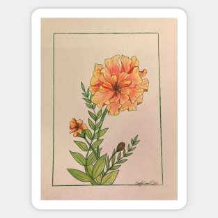 Marigold Drawing Sticker